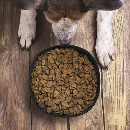 Bowl plegable para mascotas sostenible de 1.3l ref 1012 - 05