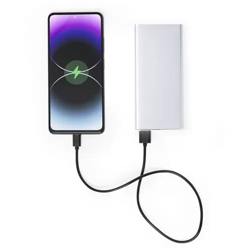 Batería auxiliar 10000 mAh carga rápida y diseño elegante ref 20857 - 01
