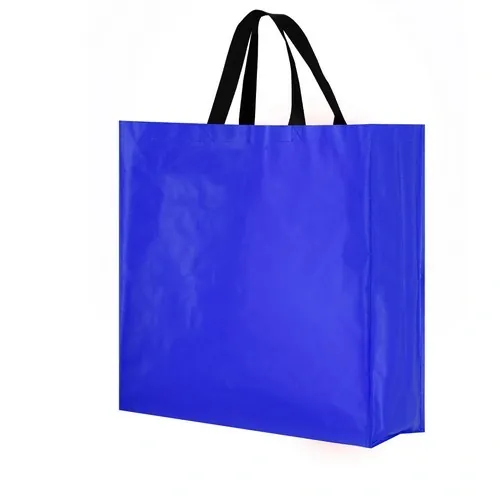 Bolsa pp-woven laminado con asas largas y resistencia 8kg ref 21943 - 00