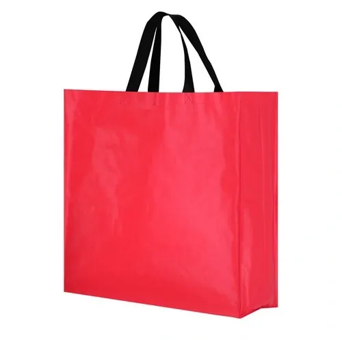 Bolsa pp-woven laminado con asas largas y resistencia 8kg ref 21943 - 07