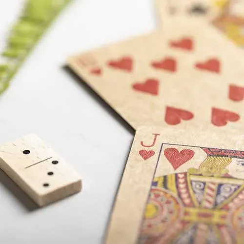 Set de Juegos Nature Baraja y Dominó en Estuche de Madera ref 6933 - 06