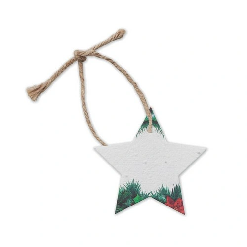 Adorno navideño estrella de flores silvestres plantable ref CX1516