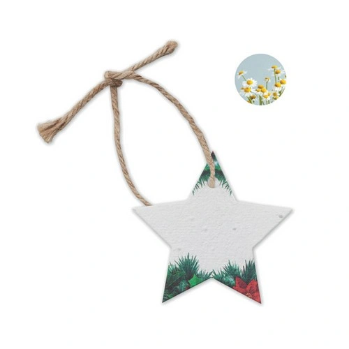 Adorno navideño estrella de flores silvestres plantable ref CX1516
