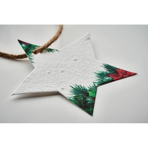 Adorno navideño estrella de flores silvestres plantable ref CX1516