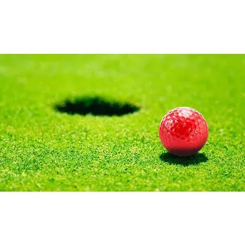 Bola de golf de resina 4 capas colores vibrantes ref 4410 - 04