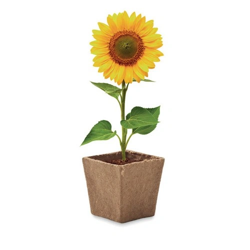 Maceta biodegradable con semillas de girasol ref MO2411