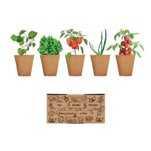 Kit de cultivo de verduras con semillas y tableta de tierra ref MO6499