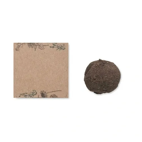Kit de cultivo de flores silvestres en caja de cartón ref MO6908 - Back Beig