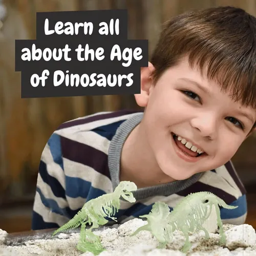 Kit educativo de excavación de fósiles de dinosaurios ref 35823 - Multicolor 05