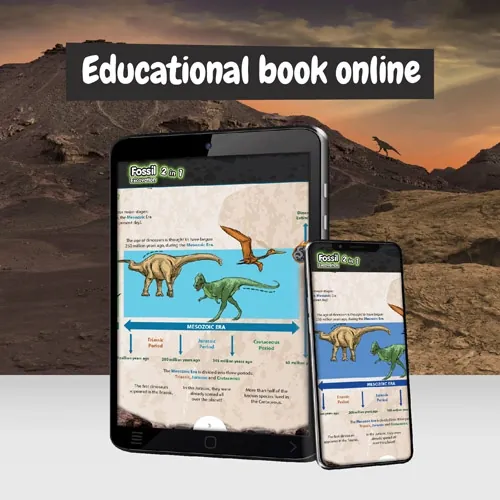 Kit educativo de excavación de fósiles de dinosaurios ref 35823 - Multicolor 09