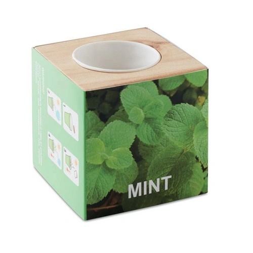 Maceta de menta en caja de madera con tableta de tierra ref MO9337