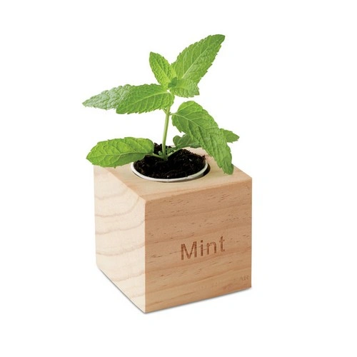 Maceta de menta en caja de madera con tableta de tierra ref MO9337