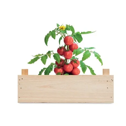Mini huerto de tomates Raf en caja de madera ref MO6498 - Top Madera