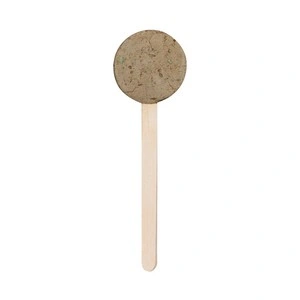 Piruleta de semillas con instrucciones de plantado