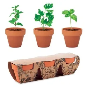 Set de 3 macetas de terracota con semillas de hierbas