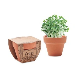 Maceta de terracota con semillas de berro y tableta