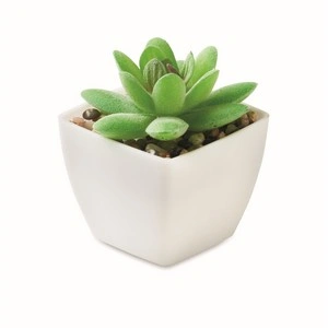 Mini planta artificial artigrap para decorar tu hogar