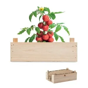 Mini huerto de tomates raf en caja de madera