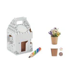Set de cultivo para niños con semillas de flores de miel
