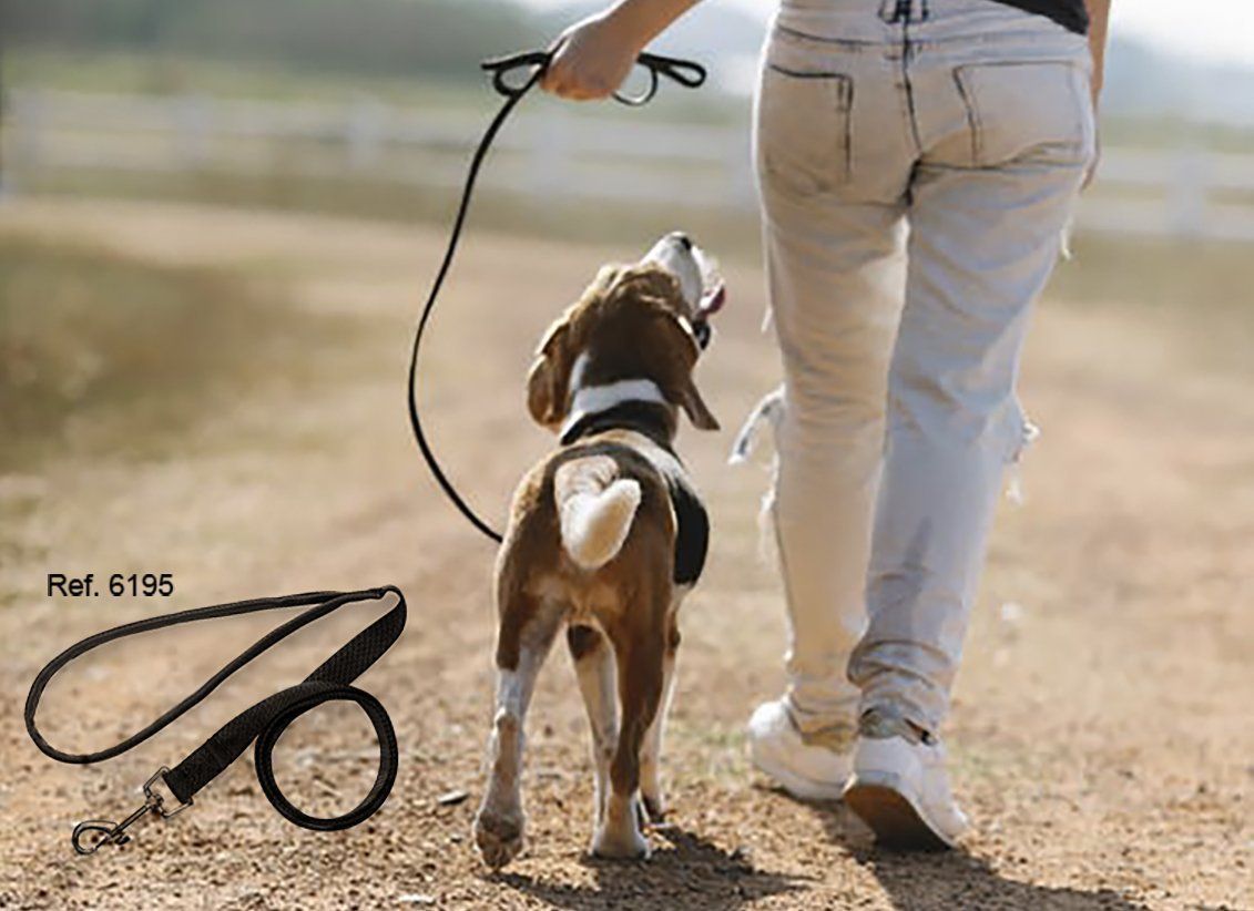 ¿Qué necesitas para sacar a pasear a tu perro?