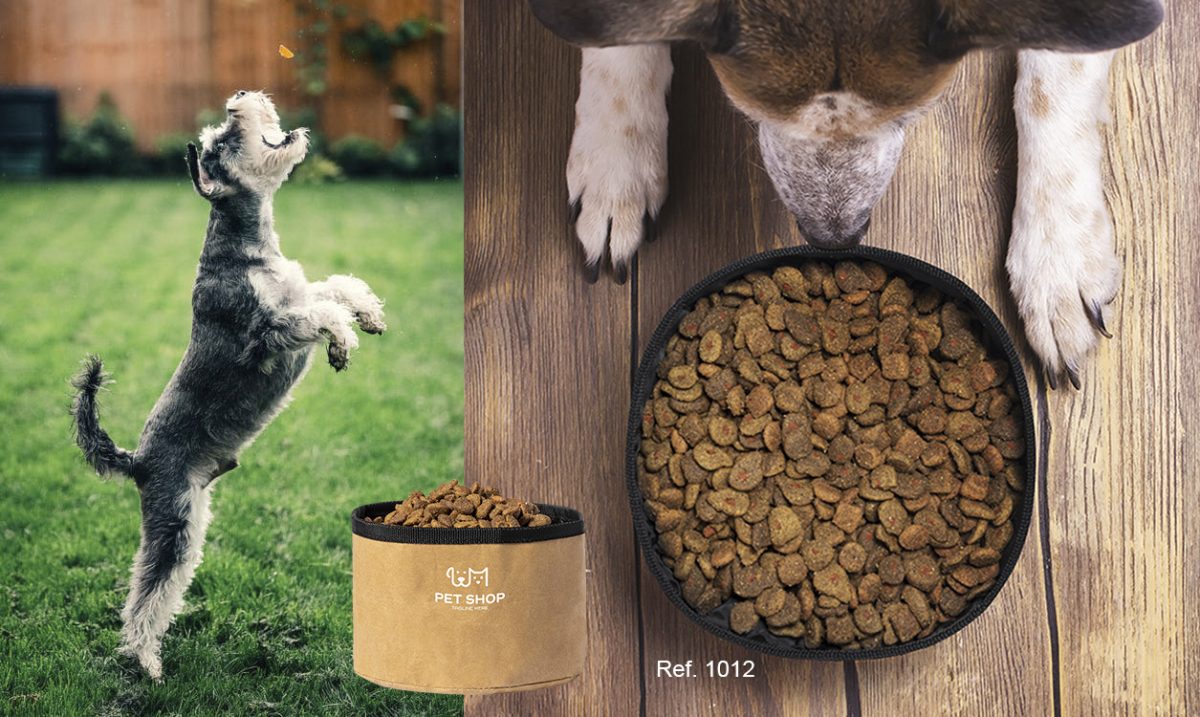 Bowls portátiles para tu mascota